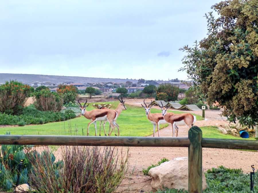 0 Bedroom Property for Sale in Langebaan Country Estate Western Cape
